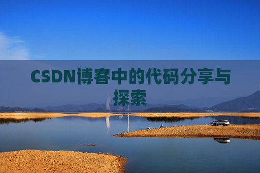 CSDN博客中的代码分享与探索